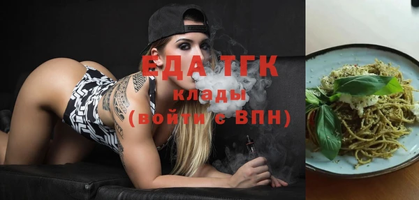 индика Бородино