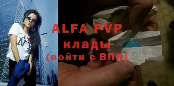 индика Бородино