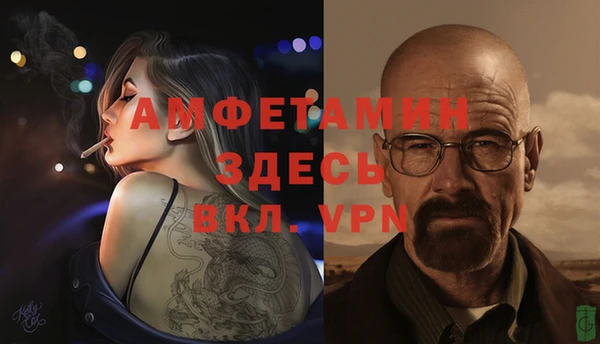 индика Бородино