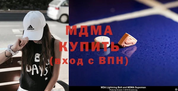 индика Бородино