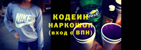 СК Бронницы