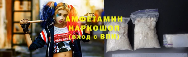 индика Бородино