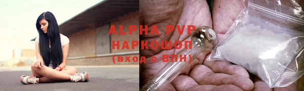 СК Бронницы