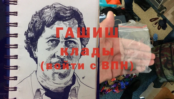 индика Бородино
