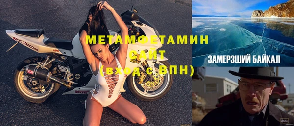 индика Бородино