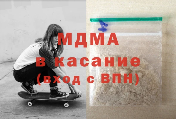 индика Бородино