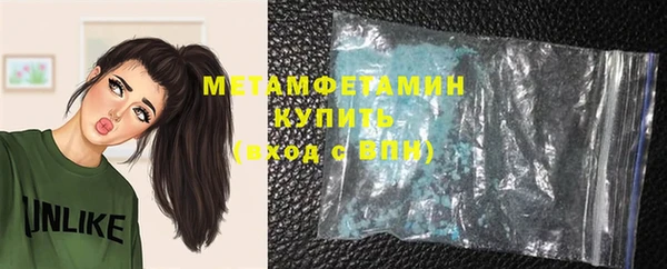 индика Бородино