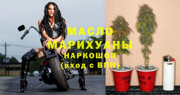 индика Бородино