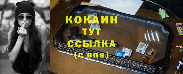 индика Бородино